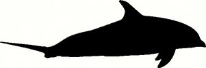 Bird (10) vinyl decal